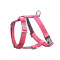 BBR-DH-BLOOM-PINK-L